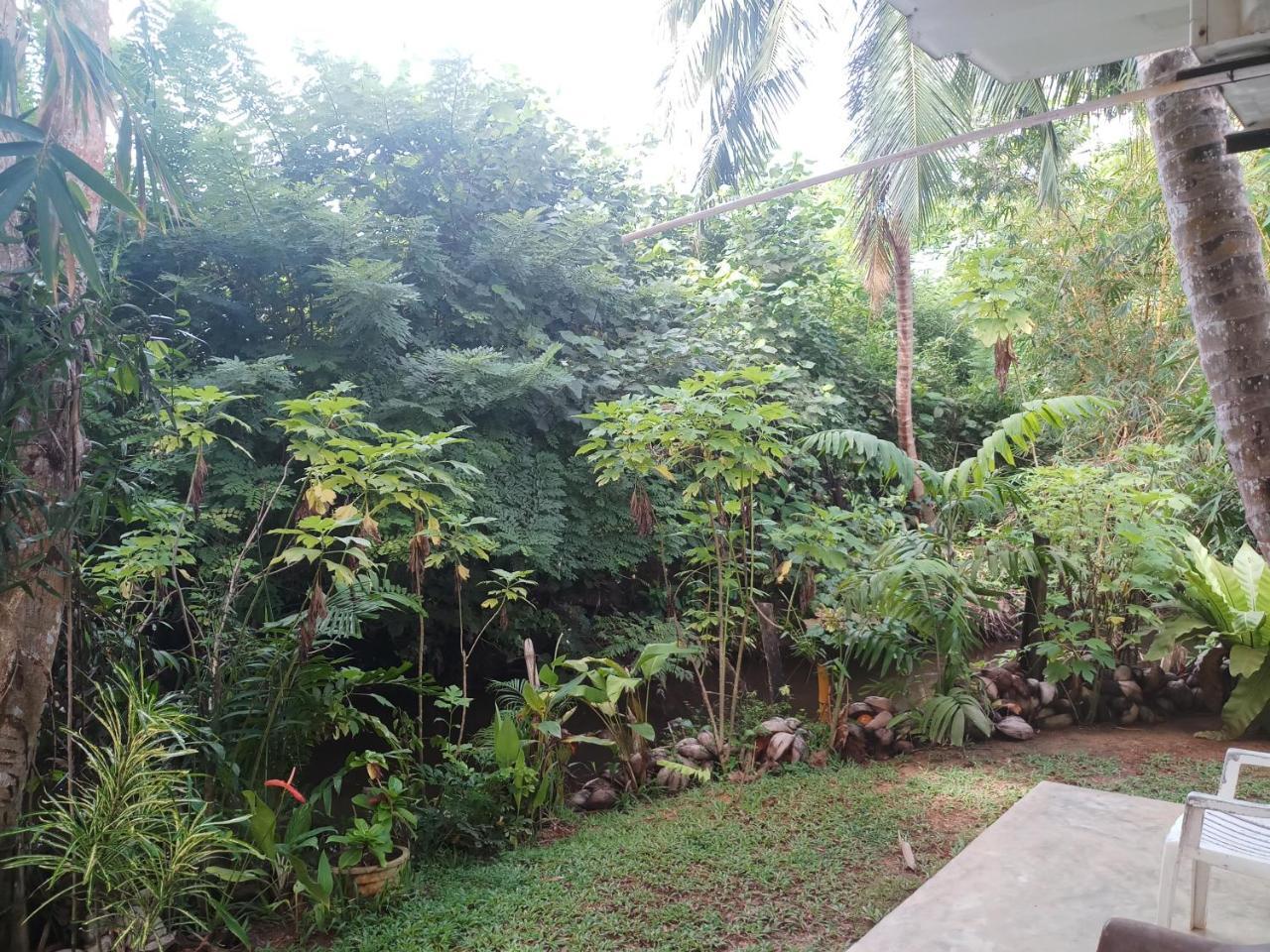 Lakvilla Hikkaduwa Exterior photo